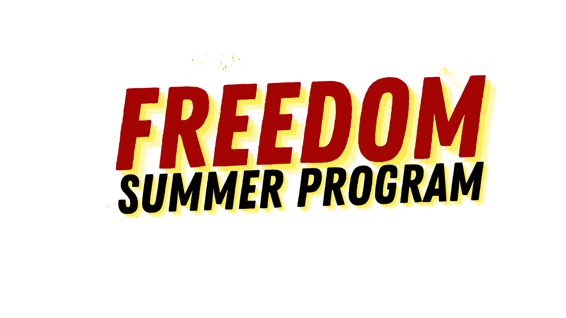 Freedom Summer Program Logo