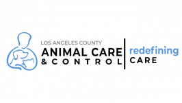 Los Angeles County Animal Care and Control 1